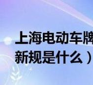 闲置新能源车牌服务平台2024车牌指南已更新